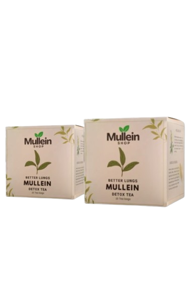ShopMullein® Detox-Tee