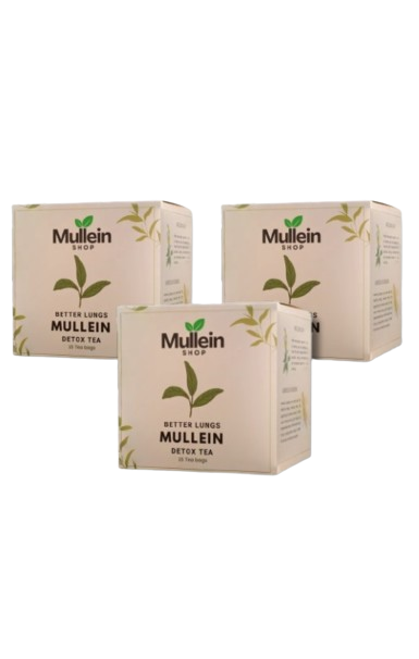 ShopMullein® Detox-Tee