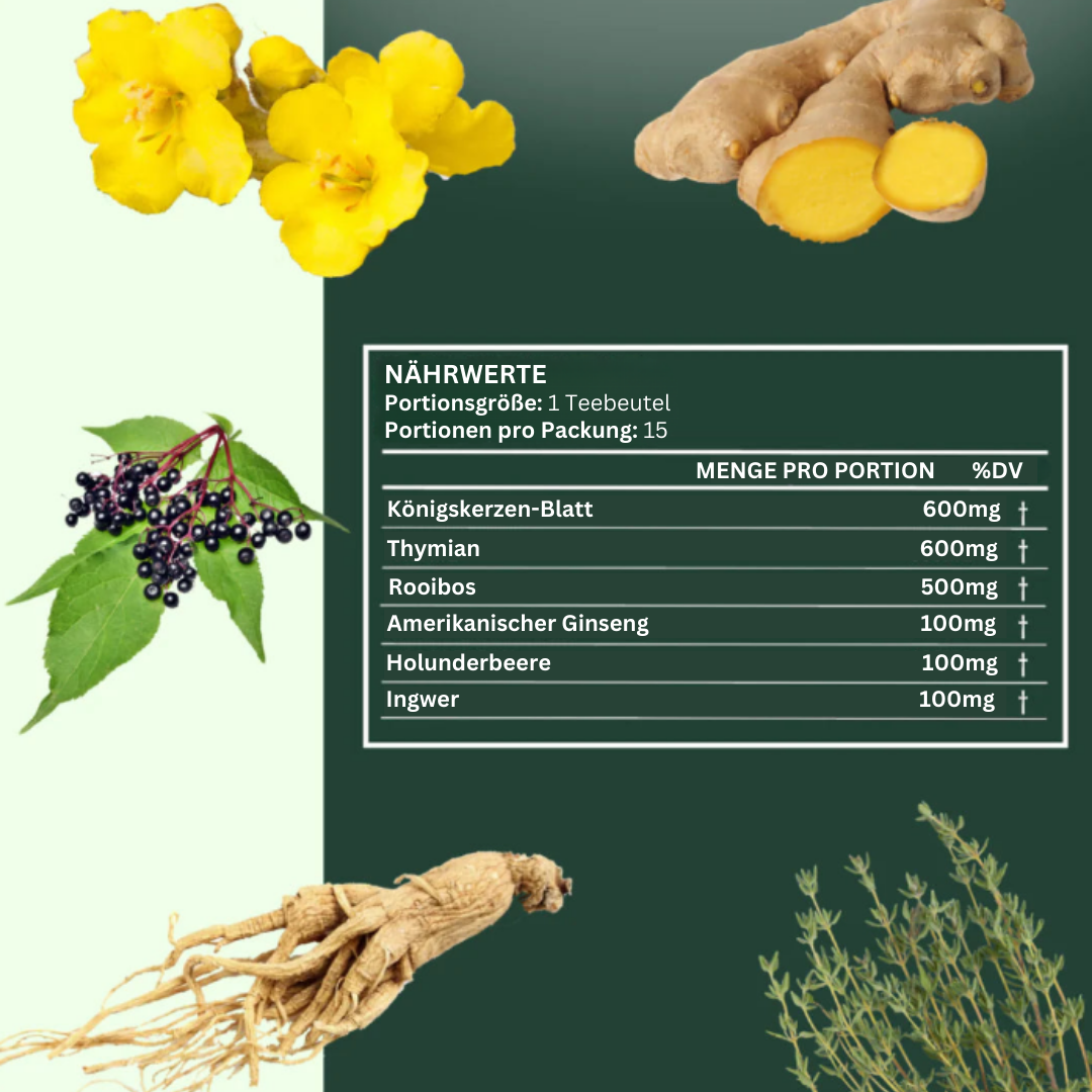 ShopMullein® Detox-Tee