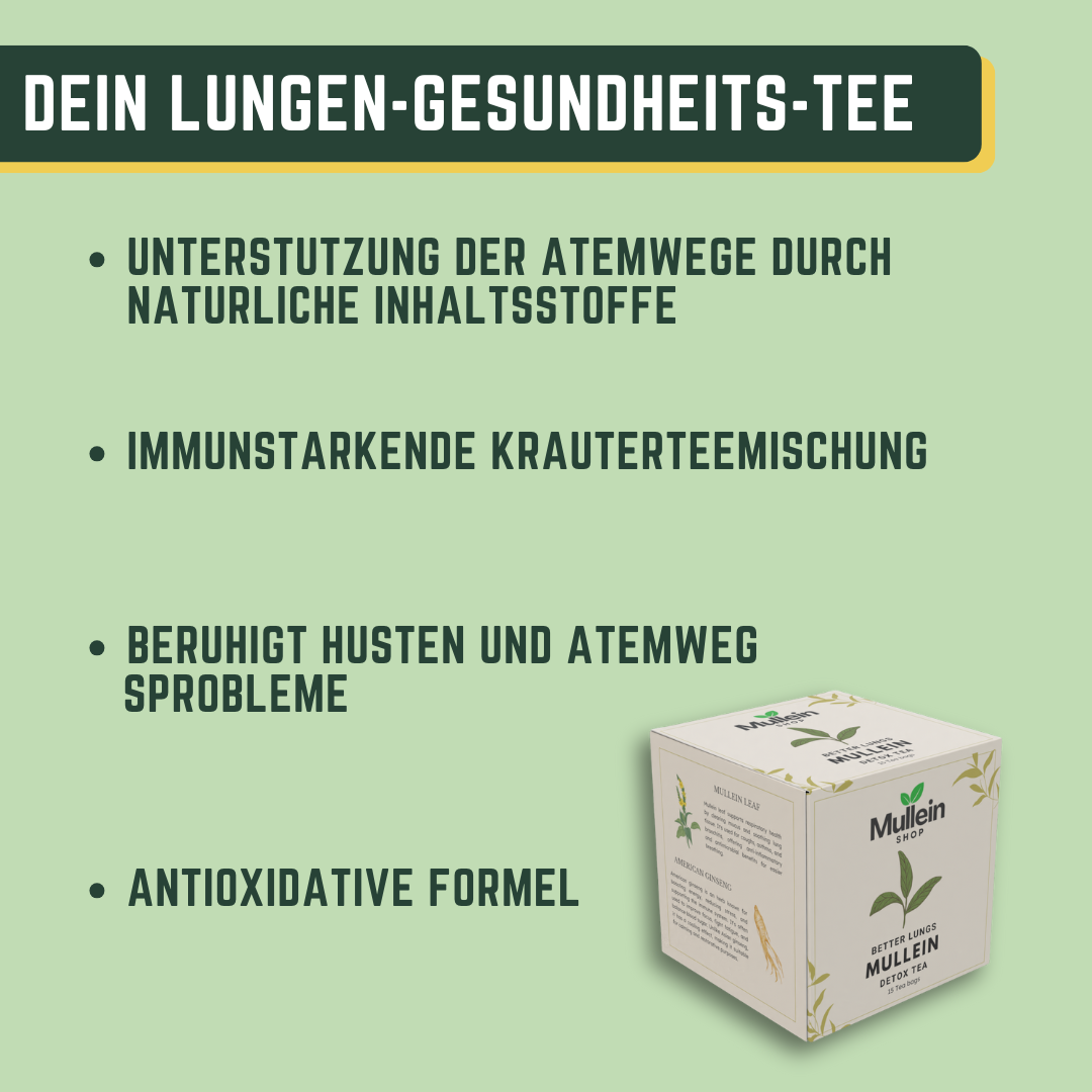 ShopMullein® Detox-Tee