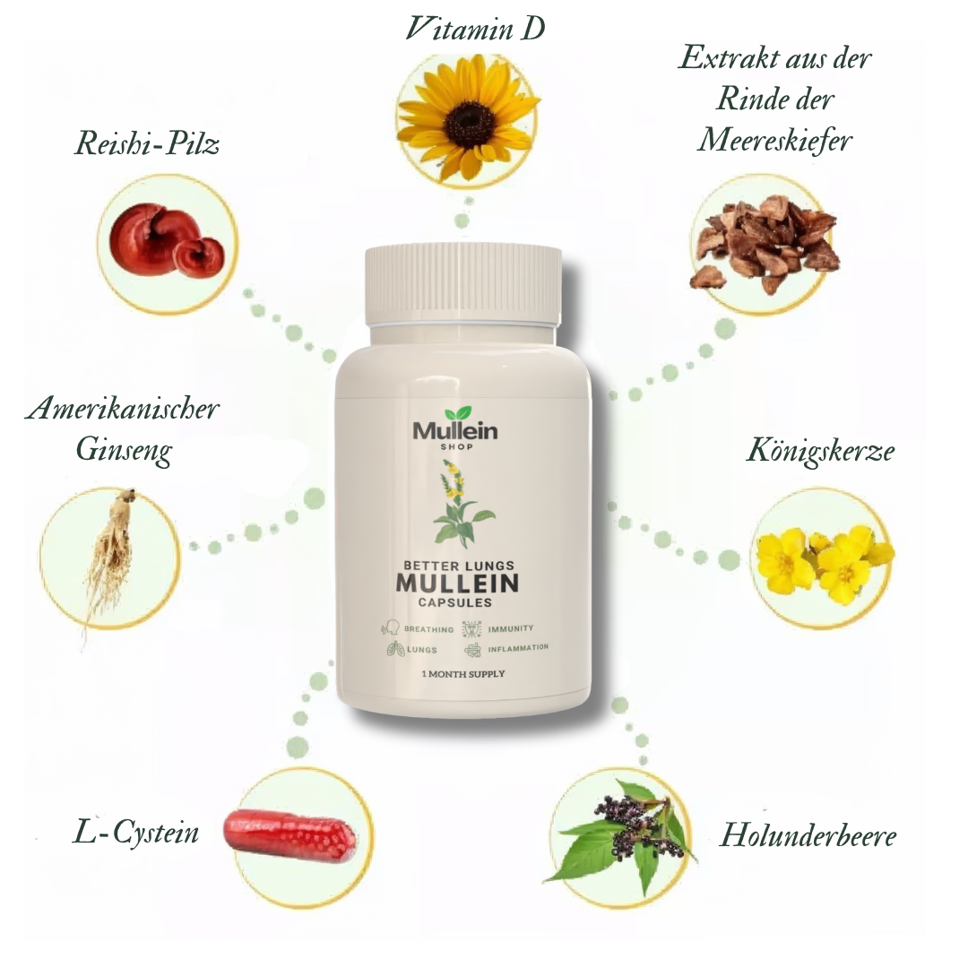 ShopMullein® Detox-Kapseln