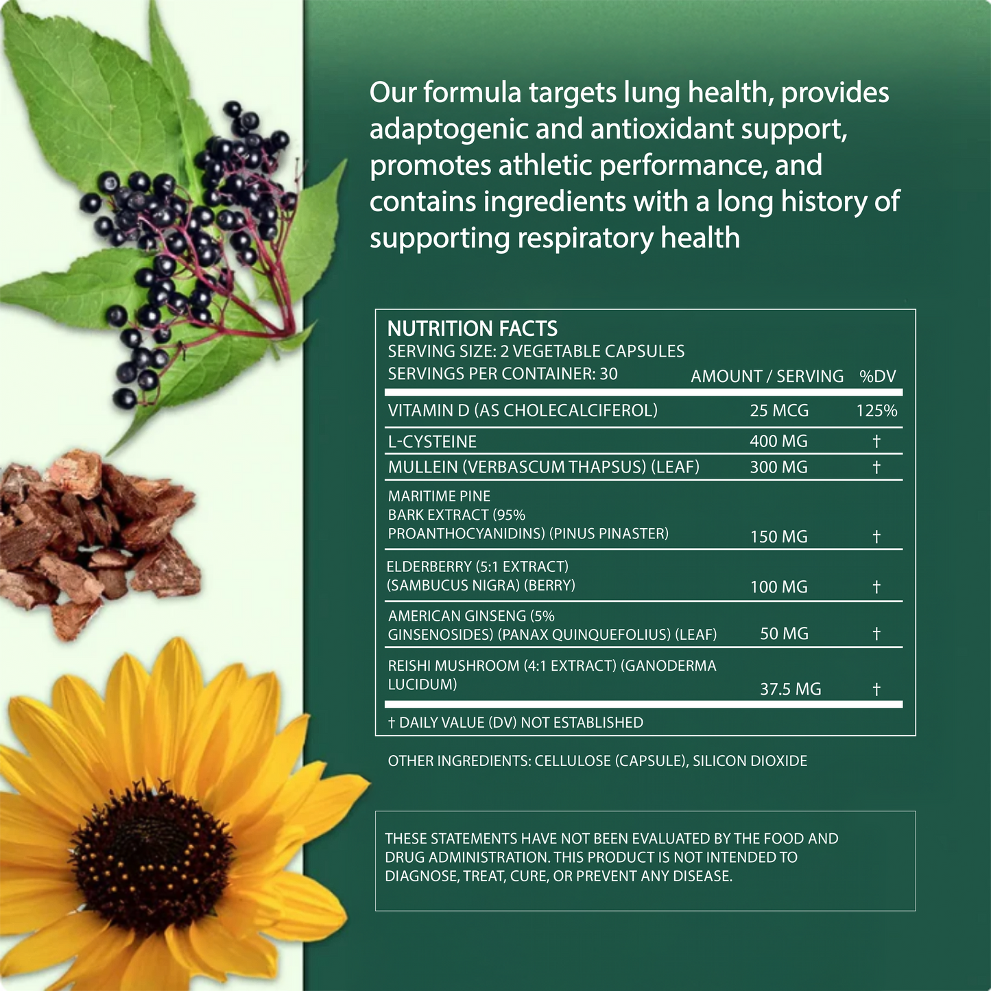 ShopMullein® Detox-Kapseln