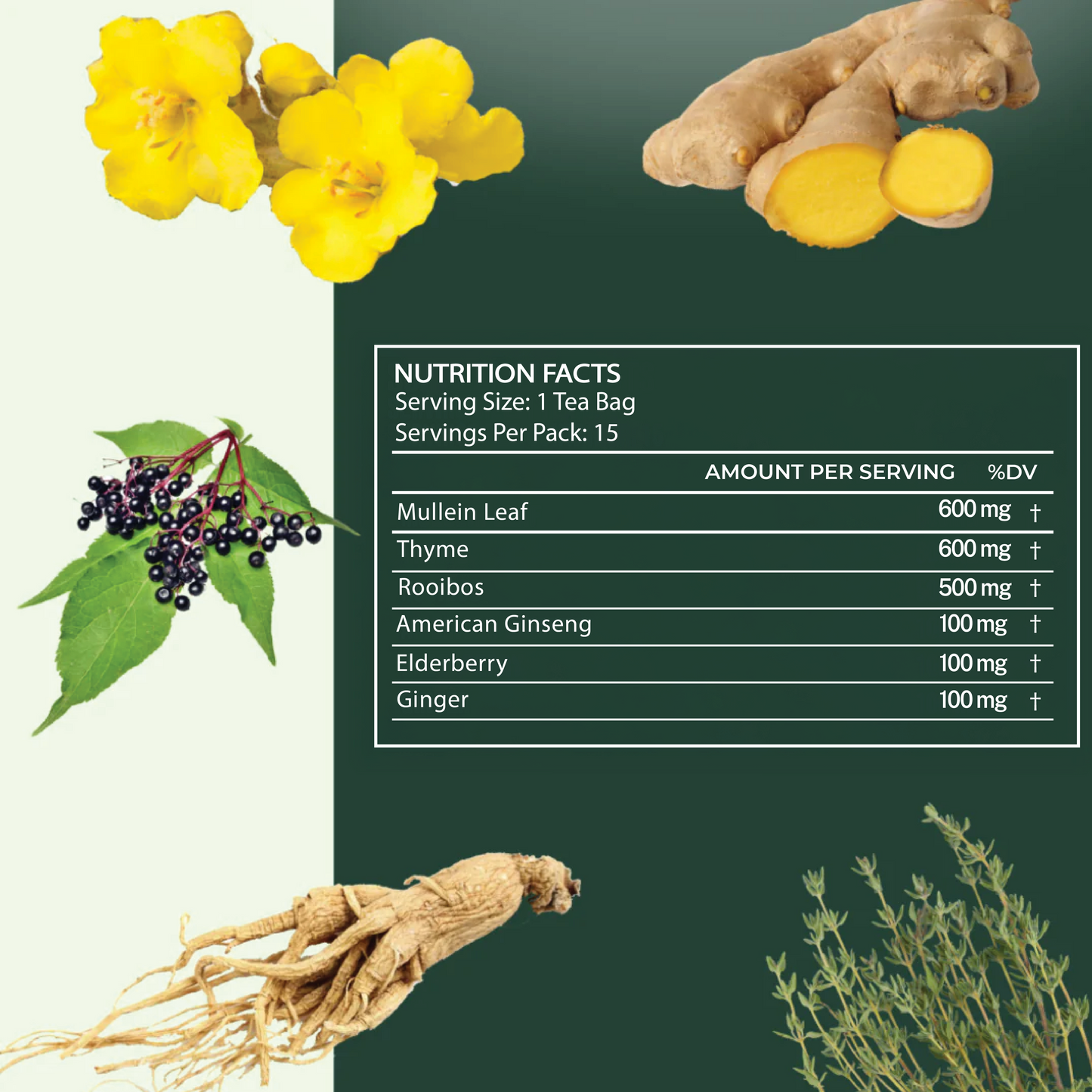ShopMullein® Detox-Tee
