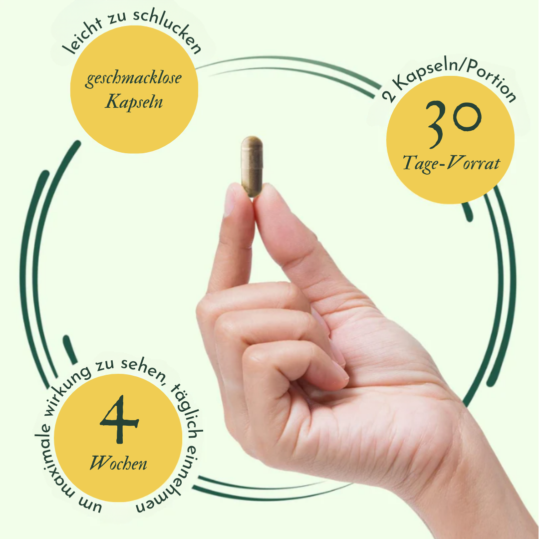 ShopMullein® Detox-Kapseln