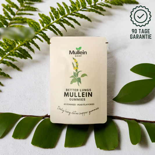 ShopMullein® Detox-Gummibärchen