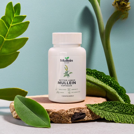 ShopMullein® Detox-Kapseln