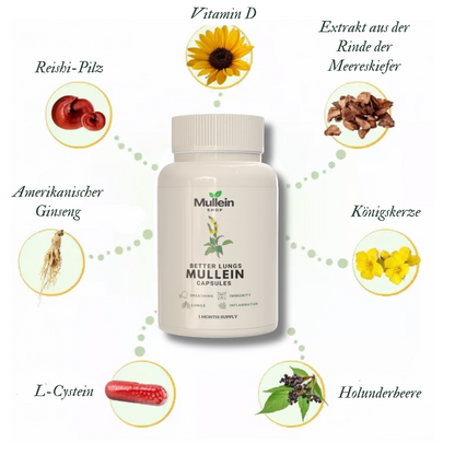 ShopMullein® Detox-Kapseln
