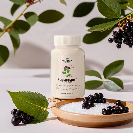 ShopMullein® Holunderkapseln