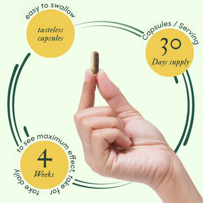 ShopMullein® Detox-Kapseln